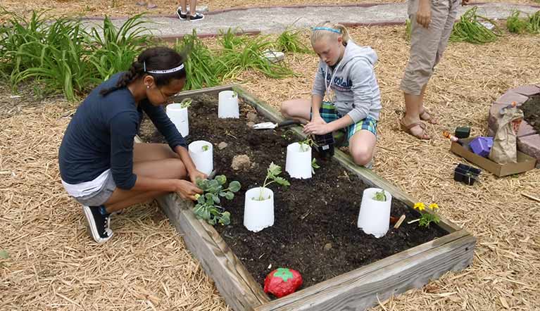 Two students are planting